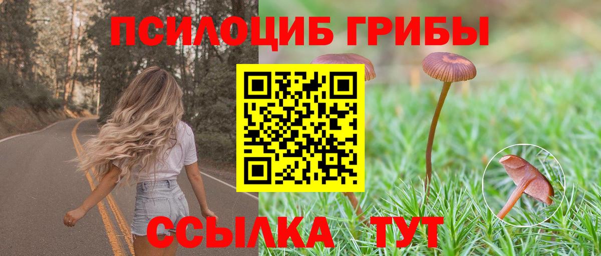 Галлюциногенные грибы GOLDEN TEACHER Тулун