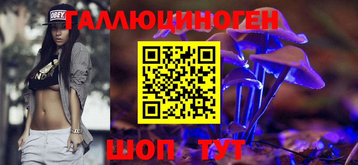Галлюциногенные грибы ЛСД  Вход с VPN  хочу   Тулун 